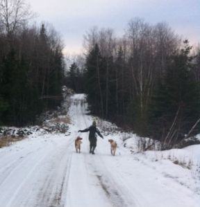 Anna-Kim and the dogs