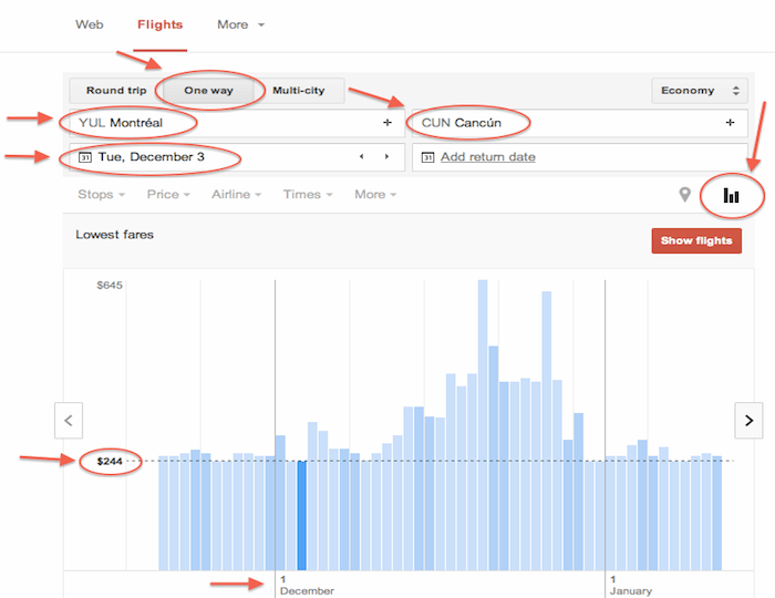 Google flight one way graphic with destination