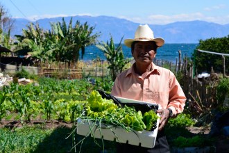 A big box from Jeronimo's garden for only 2$!!