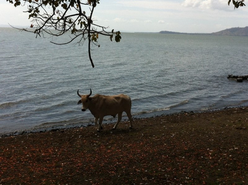 Mérida, Ometepe Island - Nicaragua