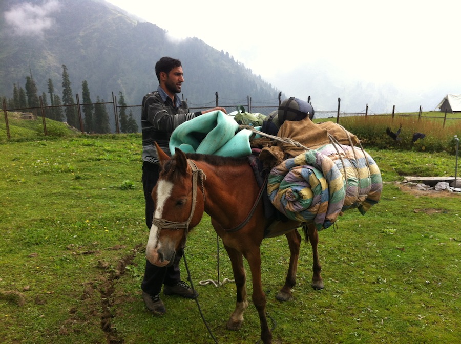 Trekking guide at Naranag - Kashmir